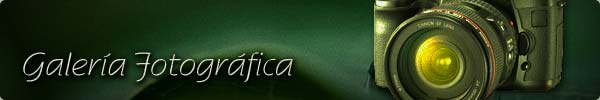 banner galery