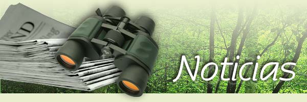 banner multimedia