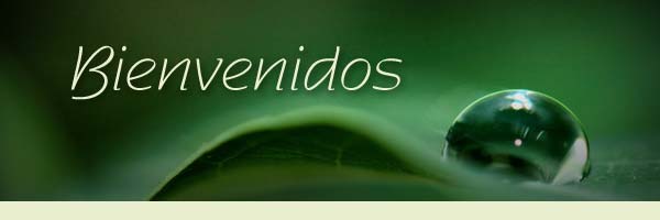 banner multimedia